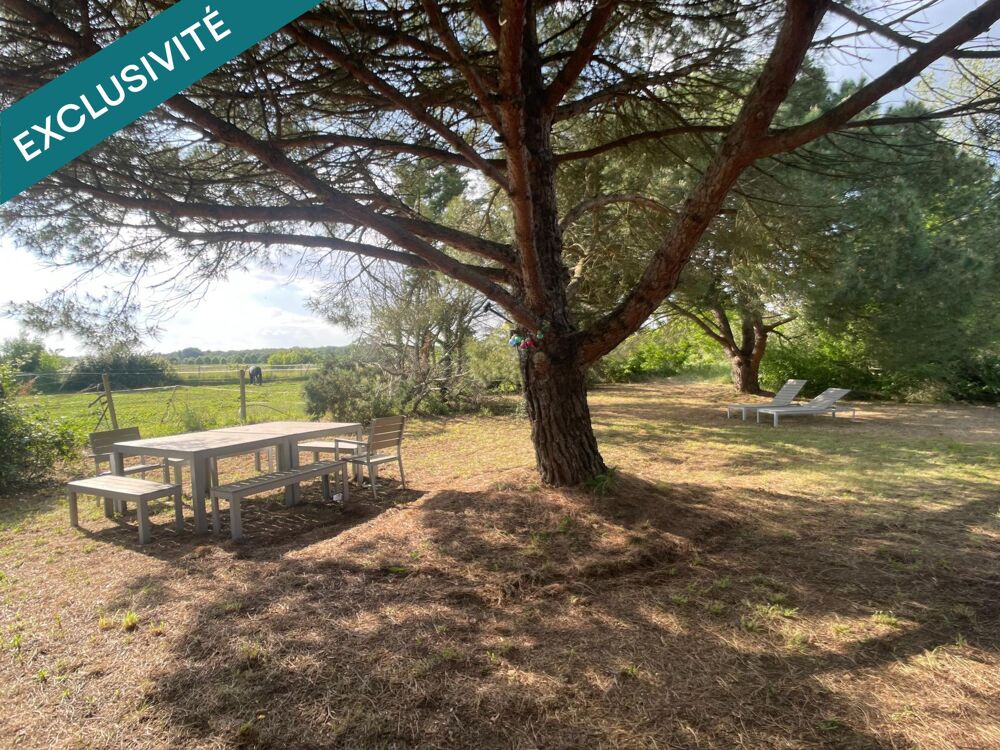 � vendre  Maison Cornebarrieu (31700)