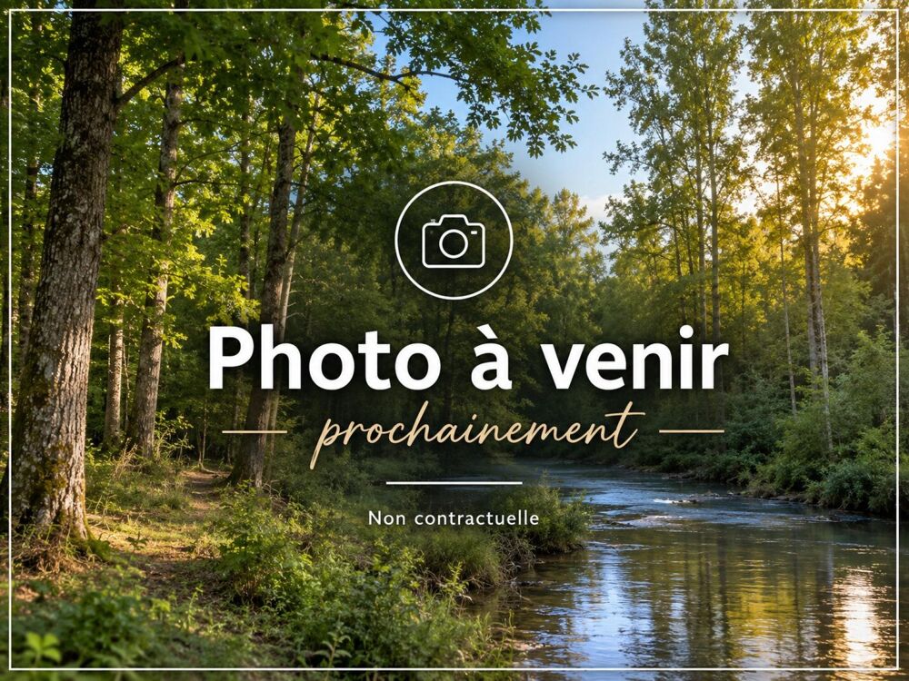 Vente Terrain Terrain boisé de production avec rivière – Marne Nuisement-sur-coole
