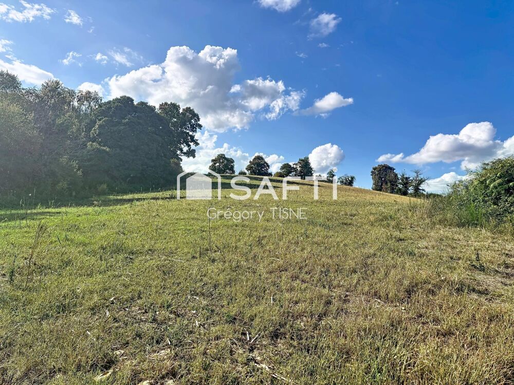 Vente Terrain Etang, palombière, terres agricoles Saint-armou