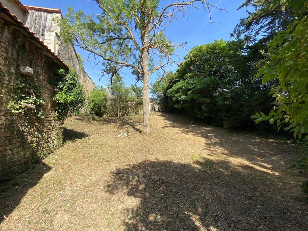 MAISON AVEC TRAVAUX 204M2 6CH DEPENDANCES, CAVES