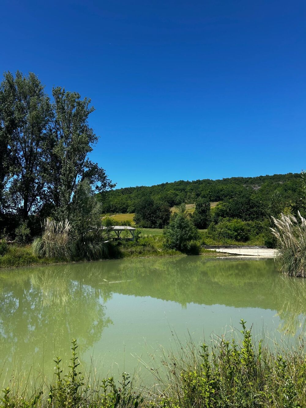 à vendre  Maison Trémons (47140)