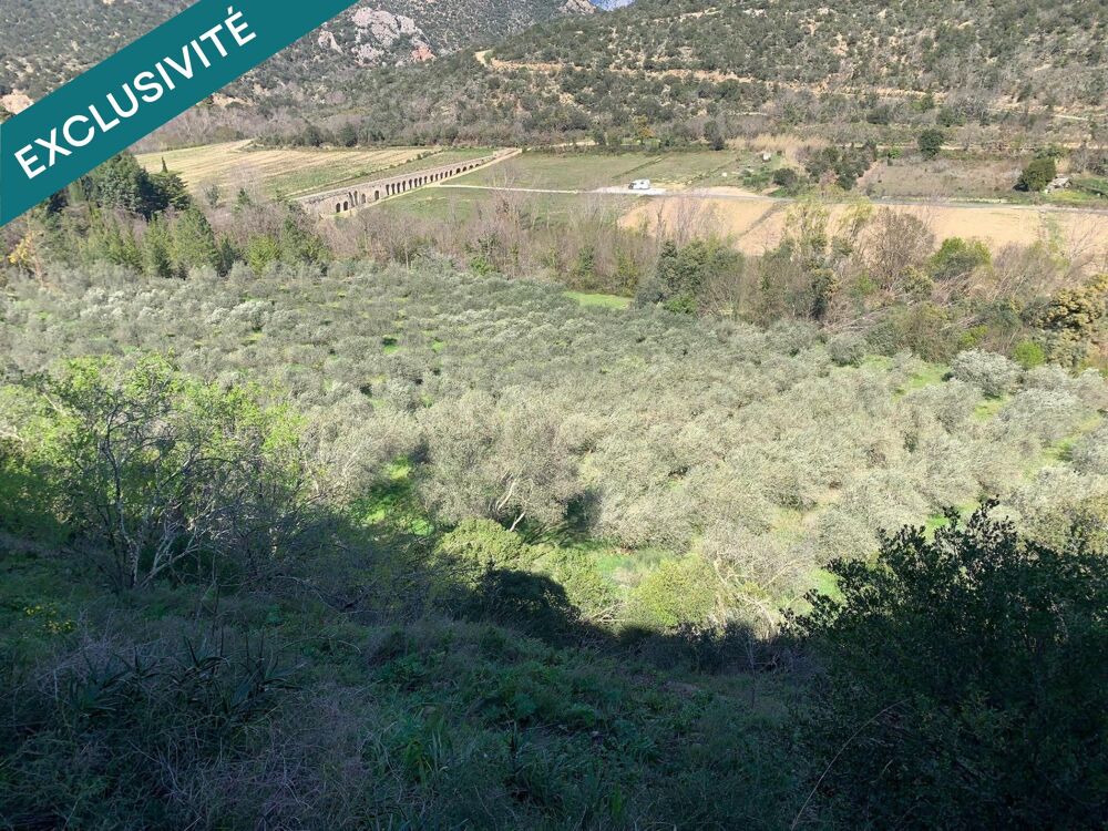 Vente Terrain OLIVERAIE Ansignan