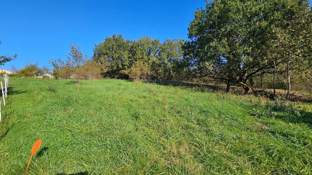 Vente Terrain Terrain à bâtir 2000 m2 - borné - viabilisé La salvetat-belmontet