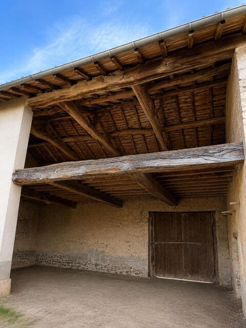   Corps de ferme à fort potentiel – Chaleins (01480) Maison - 6 pièce(s) - 200 m²