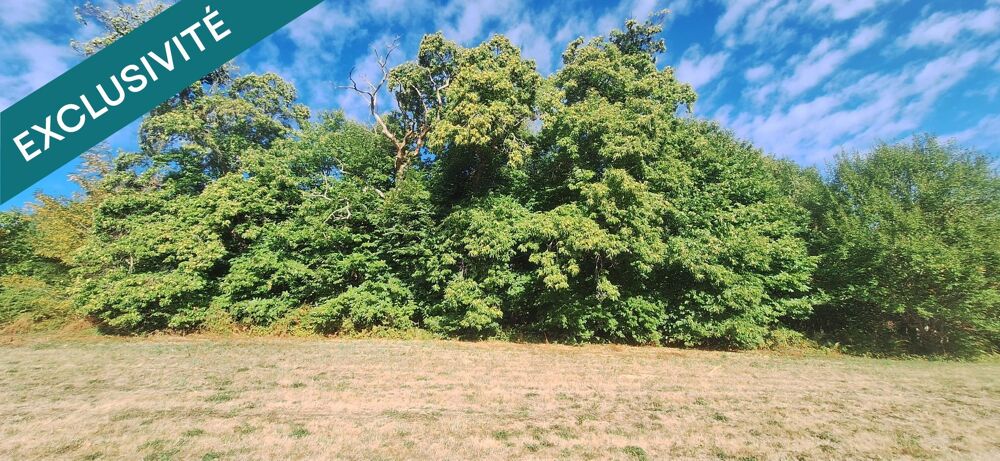 Vente Terrain Terrain 4377 m2 avec vue sur la campagne Saint-prix
