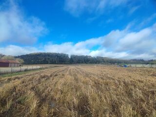  Terrain � vendre 7891 m�