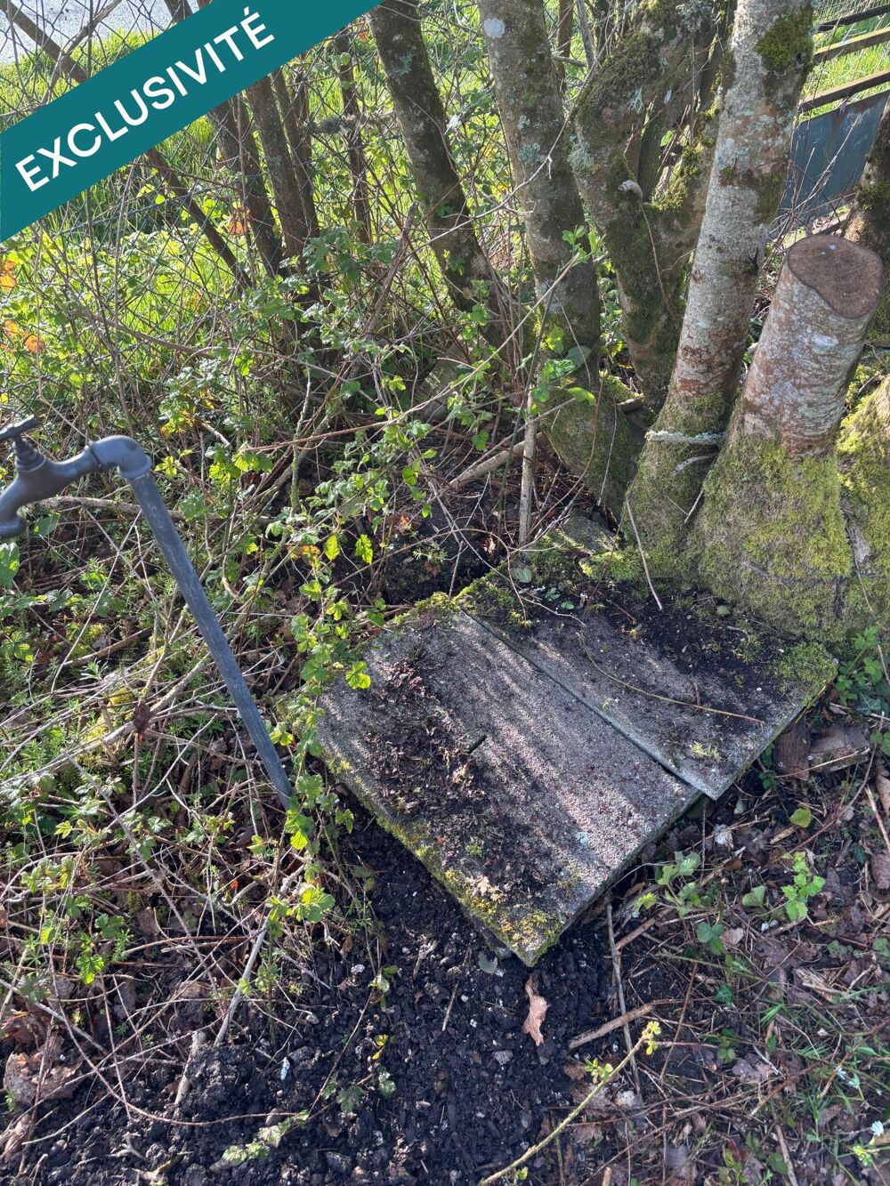 Vente Terrain Jolie terrain de loisir arboré et viabilisé. La croupte