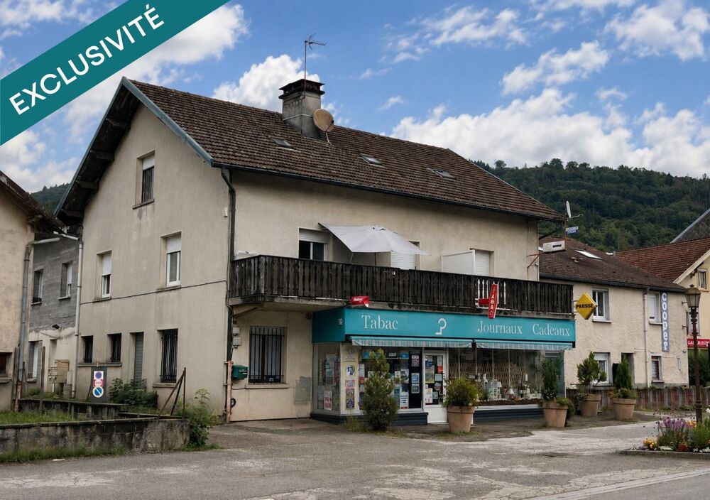 Vente Immeuble Immeuble - 6 appartements et 1 local commercial Saulxures-sur-moselotte