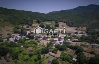 Vente Terrain TERRAIN A BATIR VIABILISE DE 3 800 m2 Albitreccia