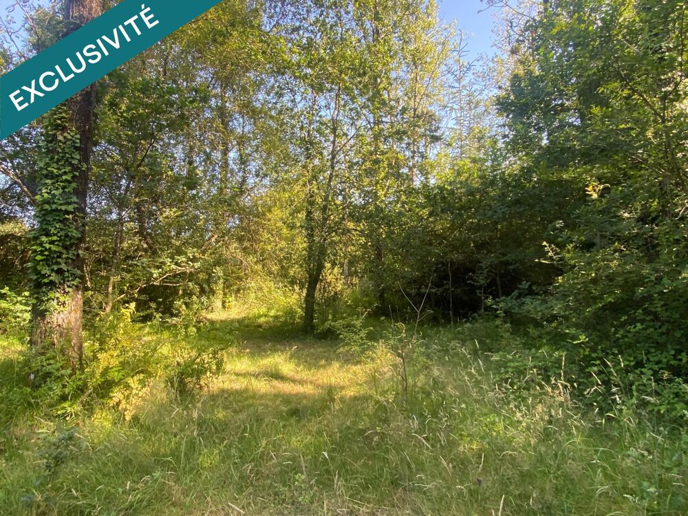 Vente Terrain Terrain agricole et de loisirs de 5 180 m² – à proximité de Langon Langon