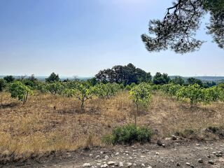  Terrain à vendre 11520 m²