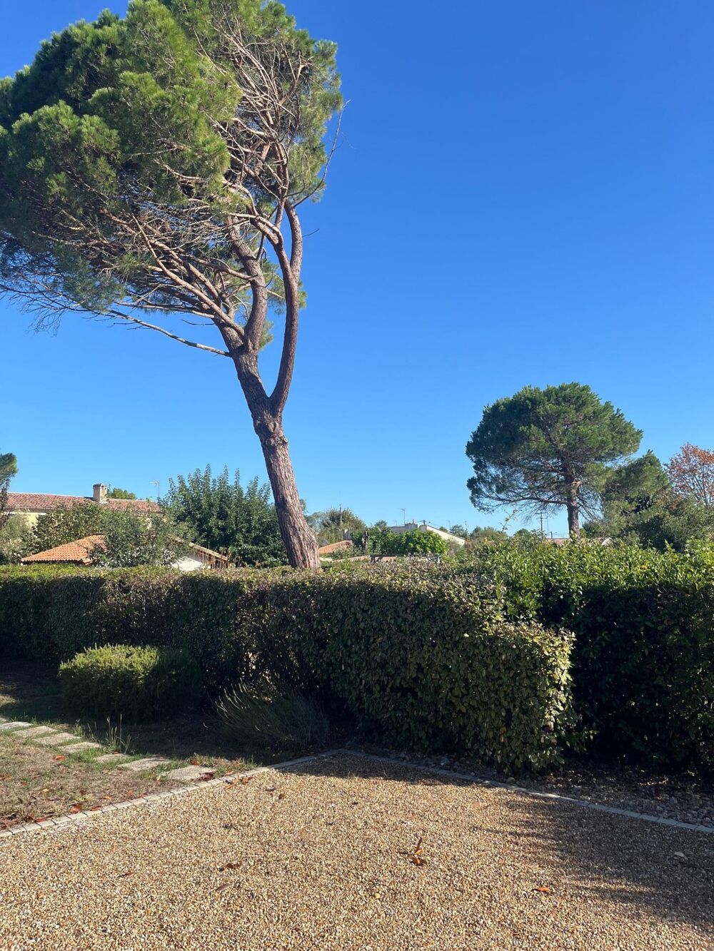 Vente Terrain Terrain 800 m2 constructible sur Vayres Vayres