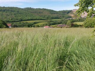  Terrain  vendre 3993 m