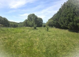  Terrain à vendre 1562 m²