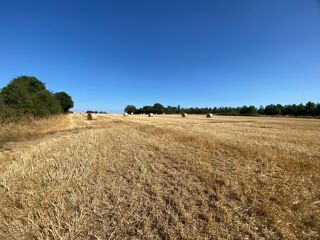  Terrain à vendre 90903 m²