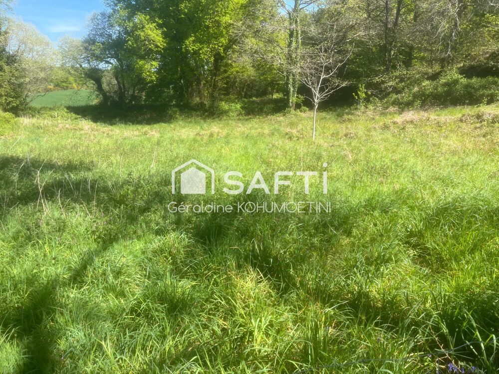 Vente Maison Grange en pierres- Fort potentiel-–Terrain 1800m2 Lignol