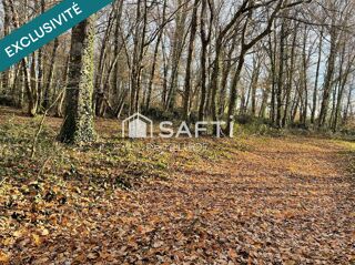  Terrain � vendre 125000 m� Montauban