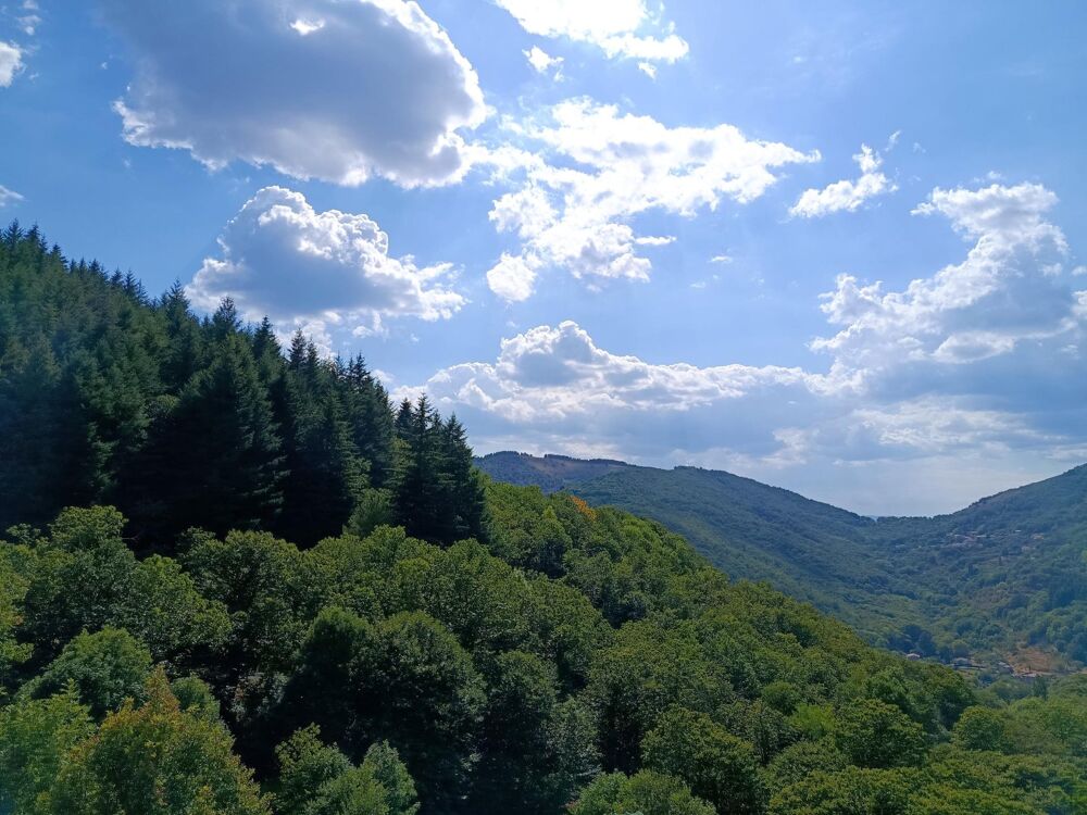 Vente Maison A SAISIR ensemble immobilier en pierre au coeur du village de Aizac Aizac