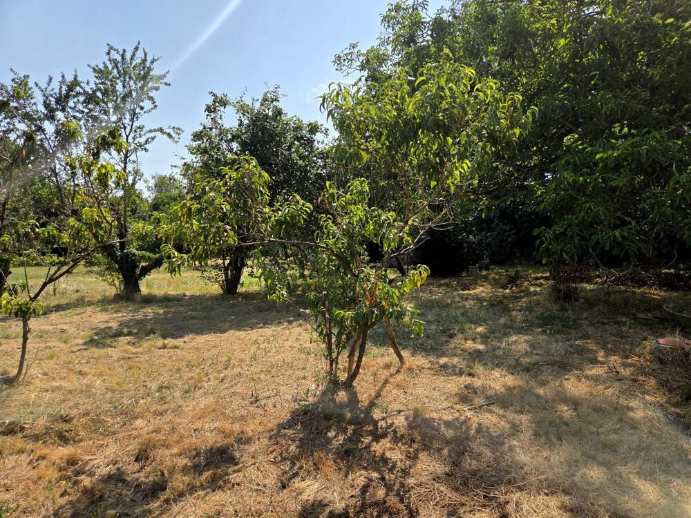 Vente Terrain Terrain constructible plat, avec verger! Saint-remy