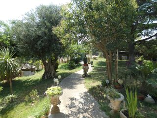  Maison � vendre 8 pi�ces 320 m�