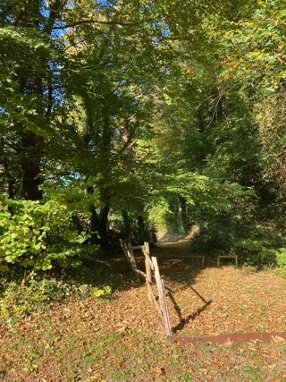  Maison � vendre 14 pi�ces 325 m�