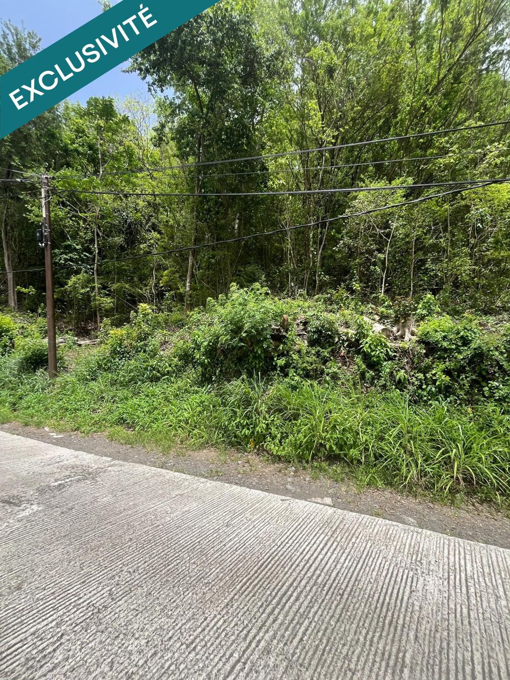 Vente Terrain TERRAIN DE 6000m2 Riviere-pilote