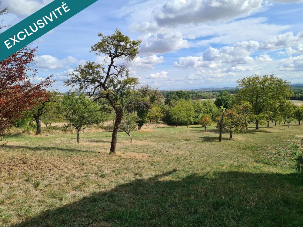 Vente Terrain Vue dominante et hors lotissement Saint-jean-saverne