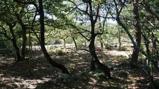  Terrain � vendre 3025 m�