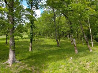  Terrain  vendre 1199 m