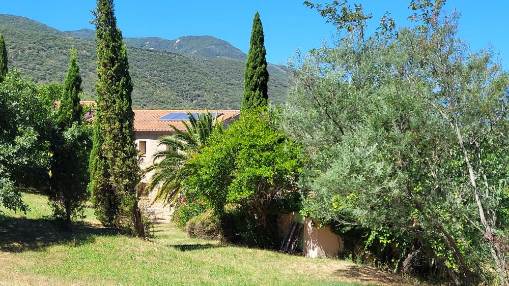 Vente Maison MAGNIFIQUE MAS AVEC GITE ET TERRAIN Ceret