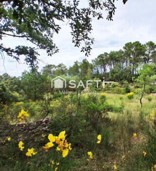  Terrain à vendre 61137 m²