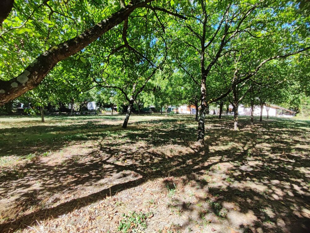 Vente Terrain Terrain à bâtir de 1175m² non viabilisé. La riviere
