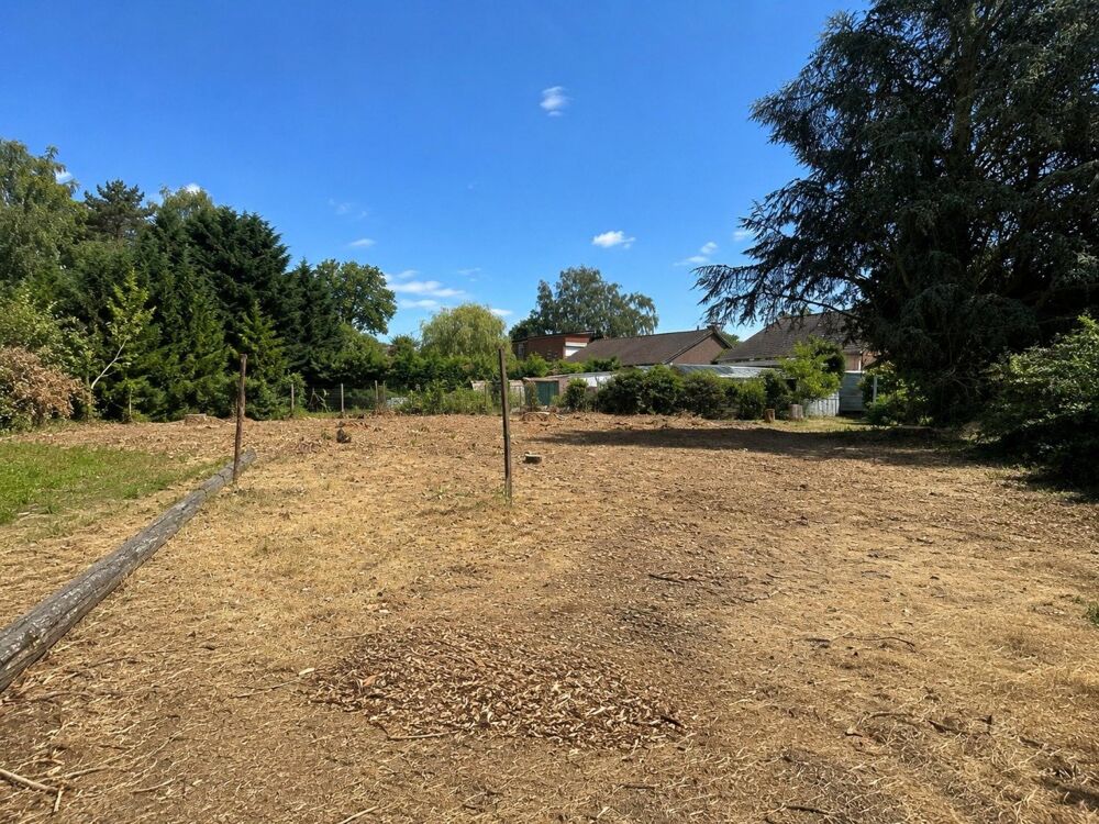Vente Terrain TERRAIN A BATIR LIBRE DE CONSTRUCTEUR Arleux-en-gohelle