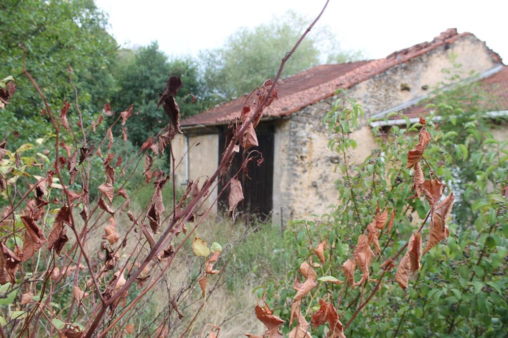 Vente Maison ancienne ferme à renover sur un terrain de 1575 m2 Gemonville