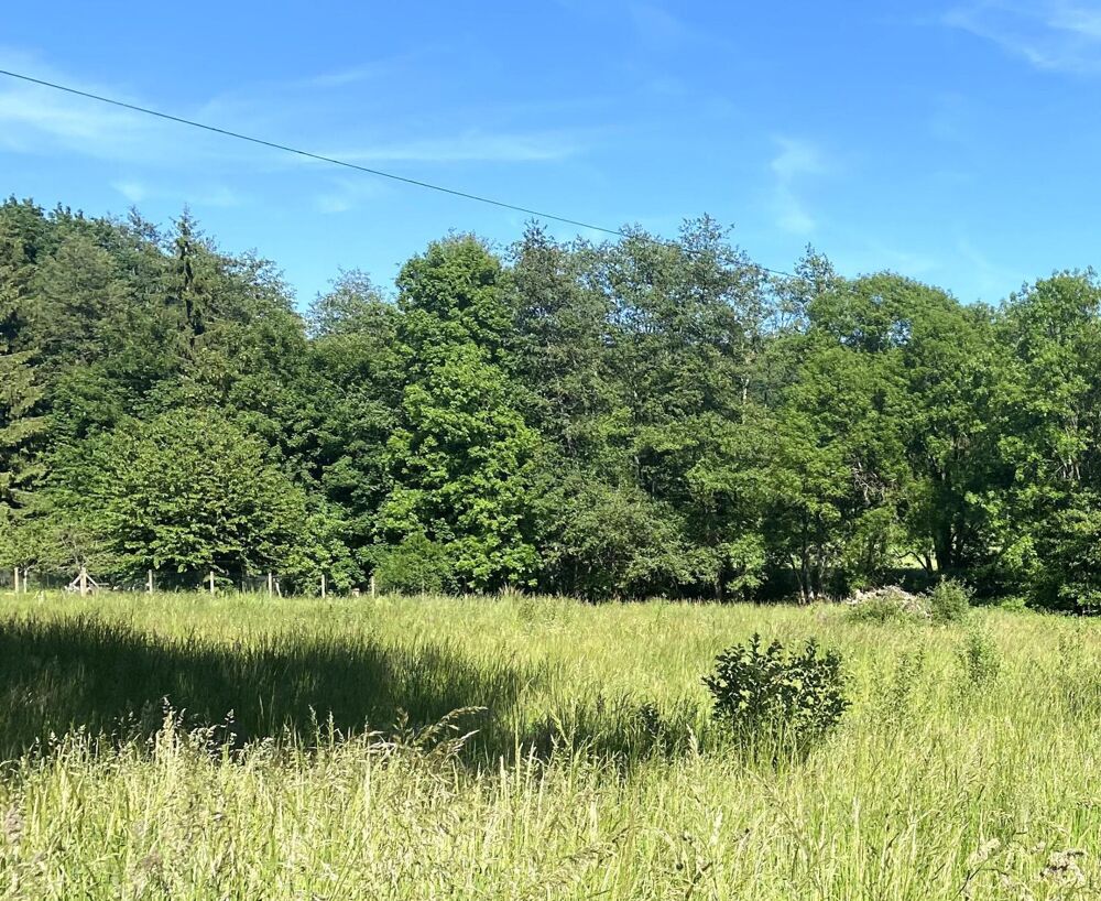 Vente Terrain Terrain à bâtir de 1 640 m² à 10 minutes de Montreuil aux lions Domptin