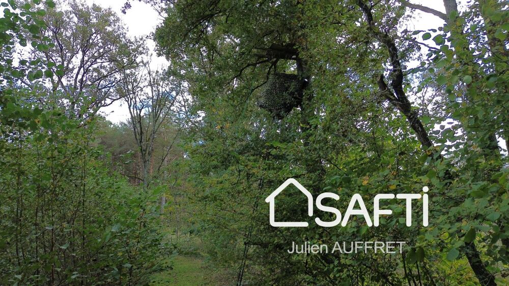  vendre  Maison Souesmes (41300)