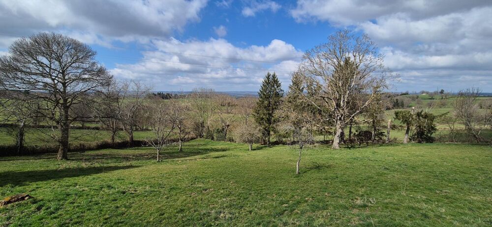 Vente Maison Une maison familiale pleine de caractère, 160 m², 5 chambres, garage 250 m² sur 2 niveaux, proche du lac des fades. Miremont