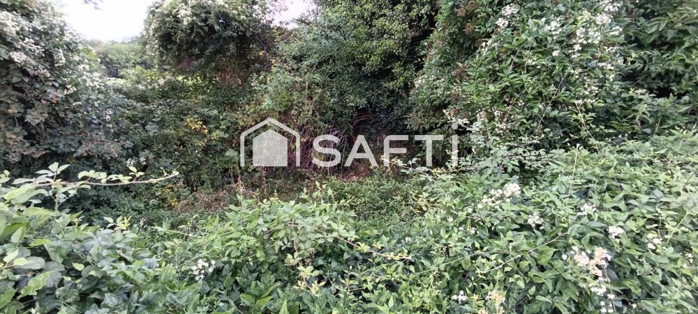 Vente Immeuble parcelle de terre avec sa cave Benais