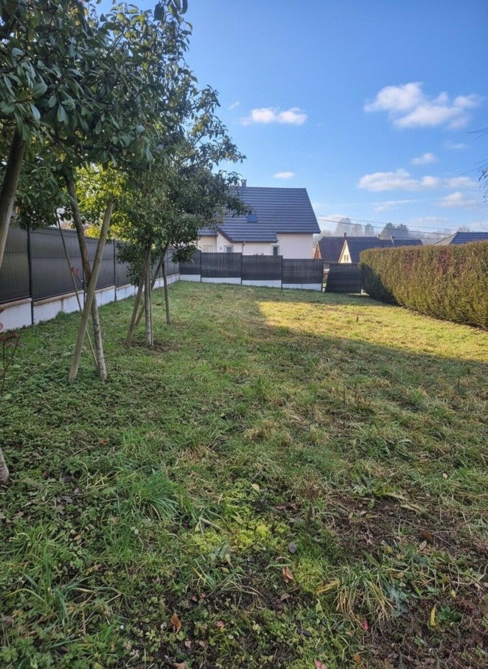 Vente Terrain Terrain constructible de 351m², partiellement arboré. Non viabilisé Heidwiller