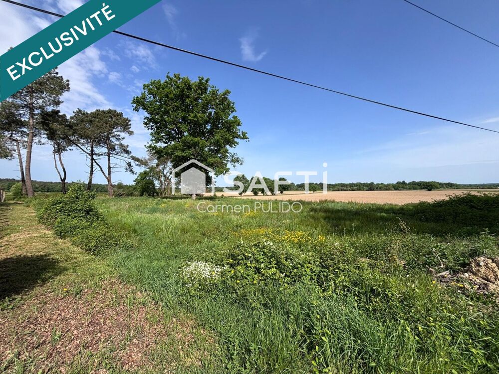 Vente Terrain Terrain constructible de 3 852 m2 Beaupouyet