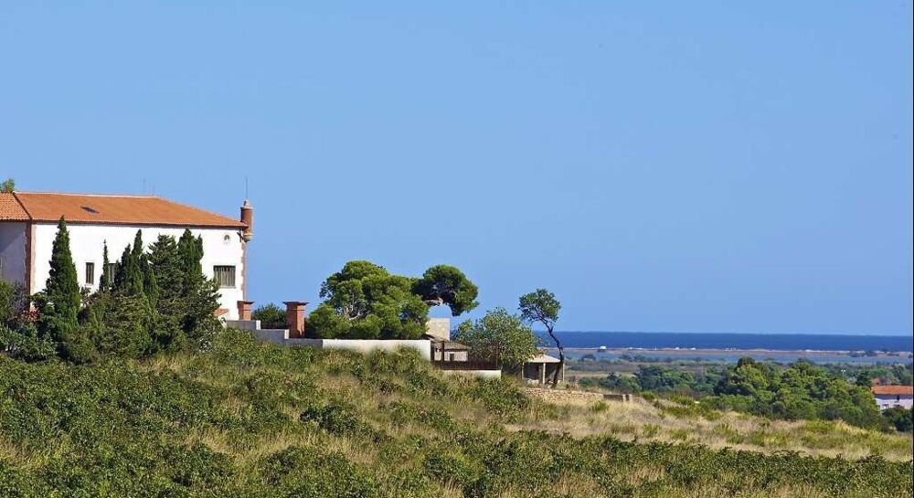 � vendre  Propri�t�/ch�teau Cabestany (66330)