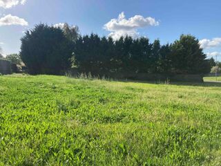  Terrain à vendre 1268 m²