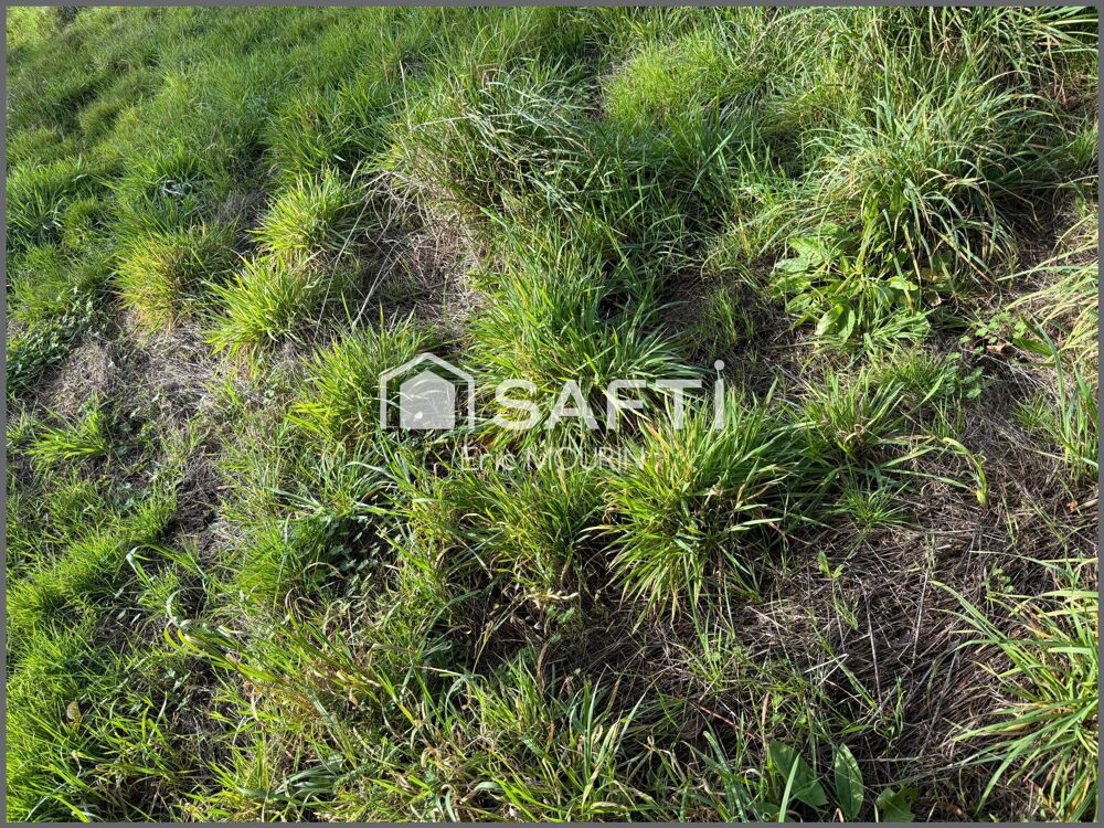 Vente Terrain A saisir  très beau terrain constructible. Segre