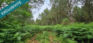  Terrain � vendre 5640 m�