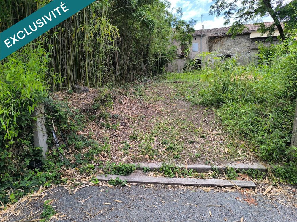 Vente Immeuble IMMEUBLE +Dépendances + Terrain constructible Blaye-les-mines