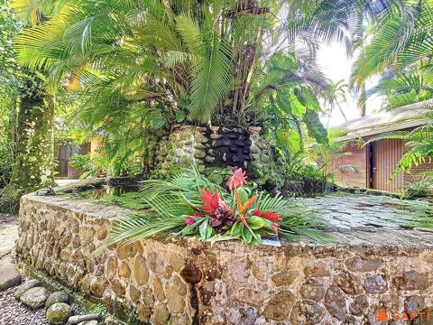   Charmants gîtes nichés au coeur de la Forêt Tropicale! 