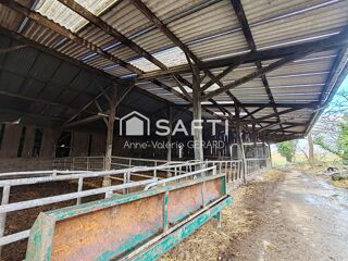  Terrain � vendre 150000 m� Fougerolles-du-plessis