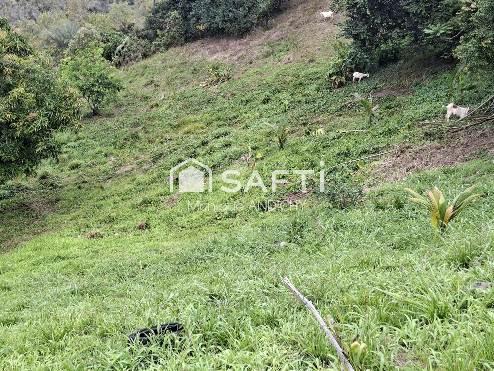 Vente Terrain Terrain 566 m² en lotissement – Sainte-Luce Sainte-luce