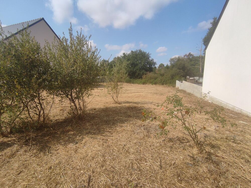 Vente Terrain Terrain constructible - libre de constructeur Moisdon-la-riviere