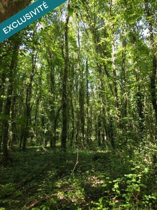  Terrain à vendre 52654 m²